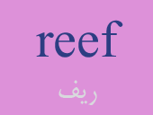 reef