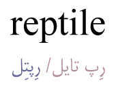 reptile