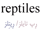 reptiles