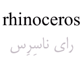 rhinoceros