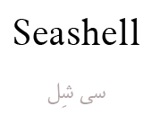 Seashell