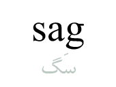 sag