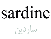 sardine