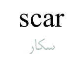scar