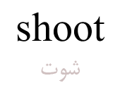 shoot