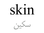 skin