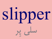 slipper