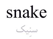snake