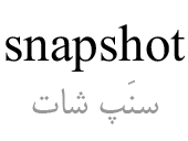 snapshot