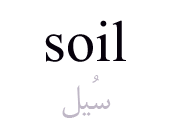 soil