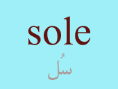 sole