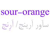 sour-orange